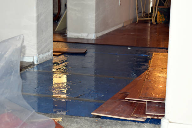 Professional Basement Water Removal technician working in Surry, ME